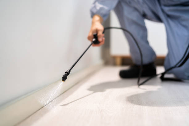 Licensed Mosquito Control service in Weatherford, OK - Show Me Pest Control