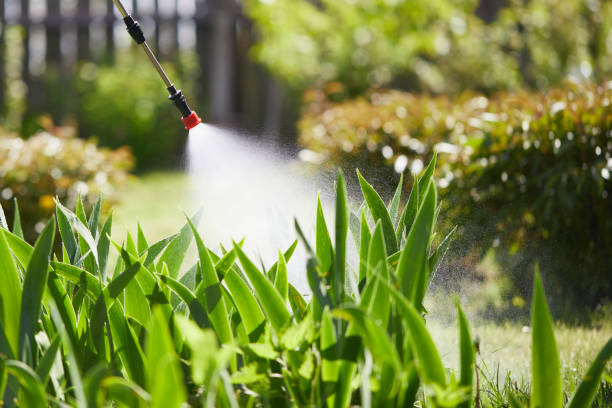 24/7 Emergency Mosquito Control experts in Weatherford, OK