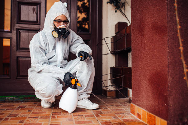 Reliable Mosquito Control contractor in Weatherford, OK by Show Me Pest Control